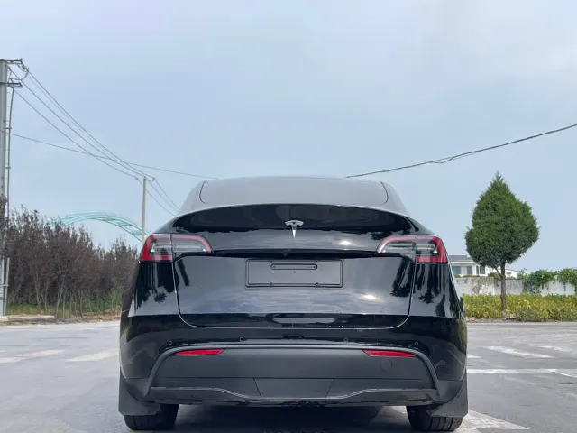 Tesla Model Y — Фото автомобиля 6