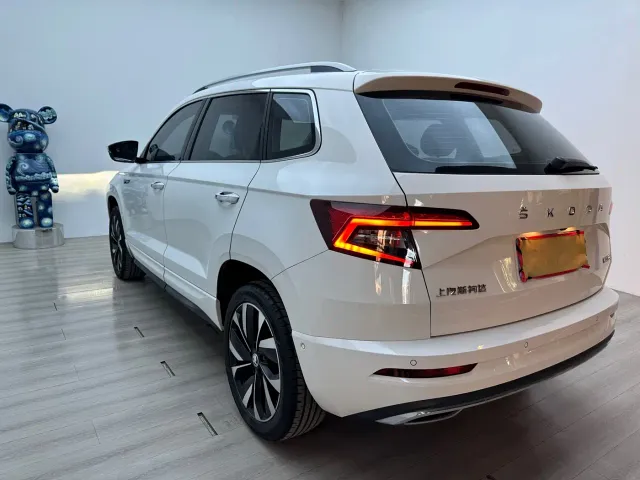 Skoda Karoq — Фото автомобиля 6