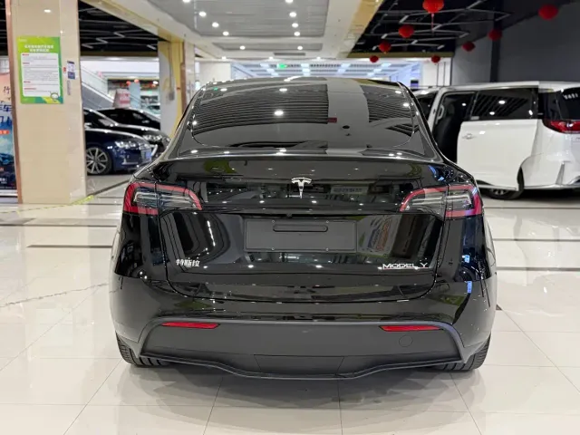 Tesla Model Y 2022 Performance High-Performance All-Wheel Drive Version — Фото автомобиля 8