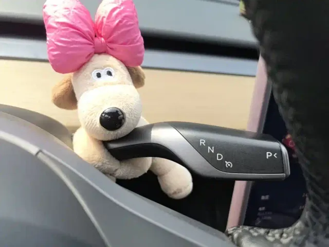 Tesla Model Y — Фото автомобиля 13