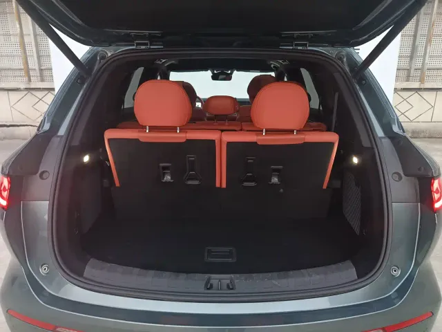 BYD Tang L — Фото автомобиля 17