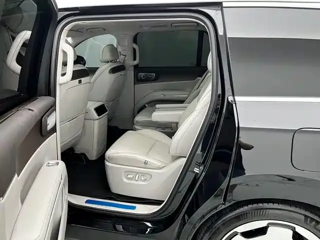 Leapmotor D Series — Фото автомобиля 14