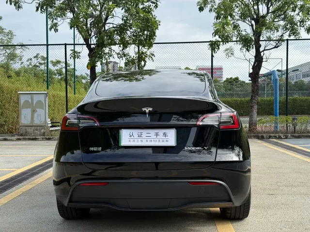 Tesla Model Y — Фото автомобиля 10
