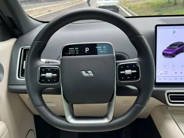 Li Auto L9 — Фото автомобиля 14