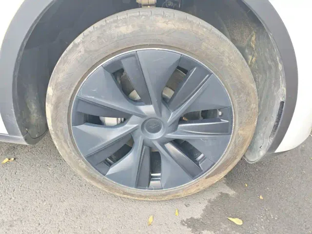 Tesla Model Y — Фото автомобиля 8