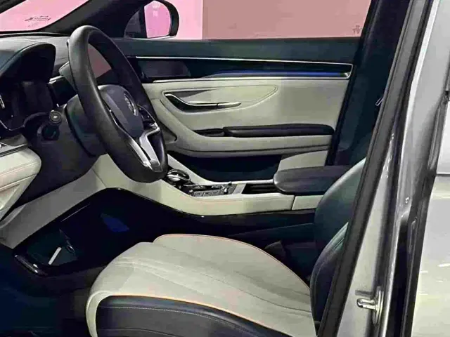 BYD Song PLUS — Фото автомобиля 13