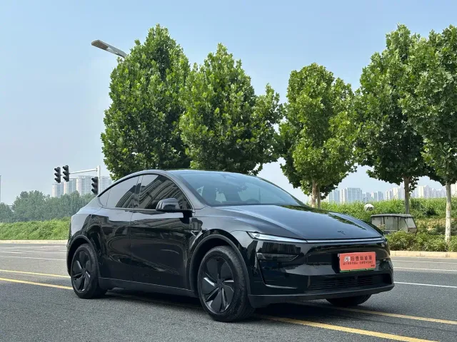 Tesla Model Y — Фото автомобиля 3