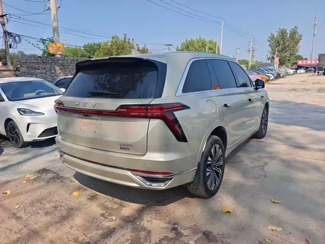 Wey Lanshan — Фото автомобиля 7