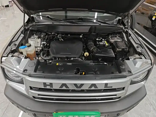 Haval Big Dog — Фото автомобиля 19