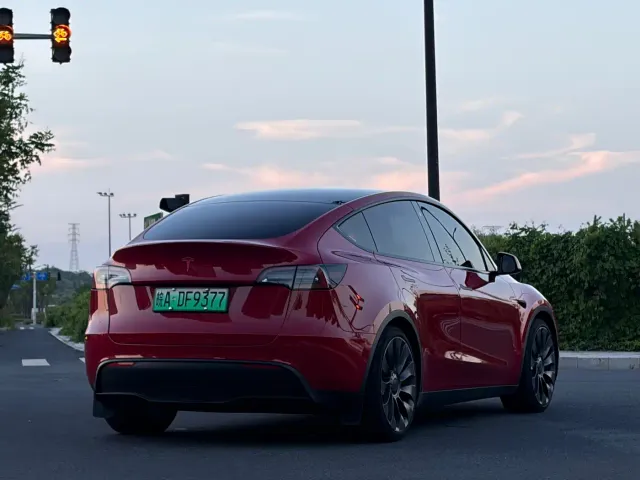Tesla Model Y — Фото автомобиля 5