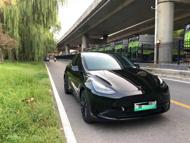 Tesla Model Y — Фото автомобиля 3
