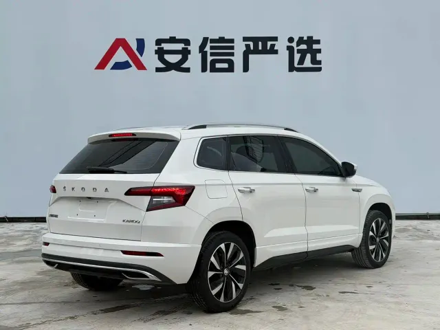 Skoda Karoq — Фото автомобиля 6