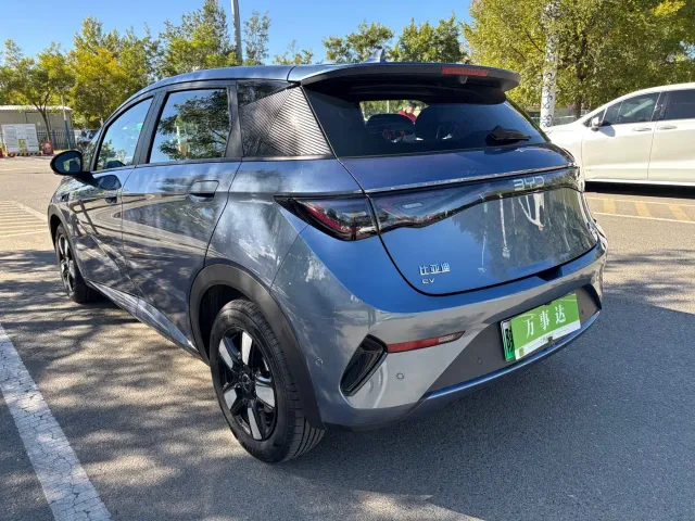 BYD Dolphin — Фото автомобиля 17