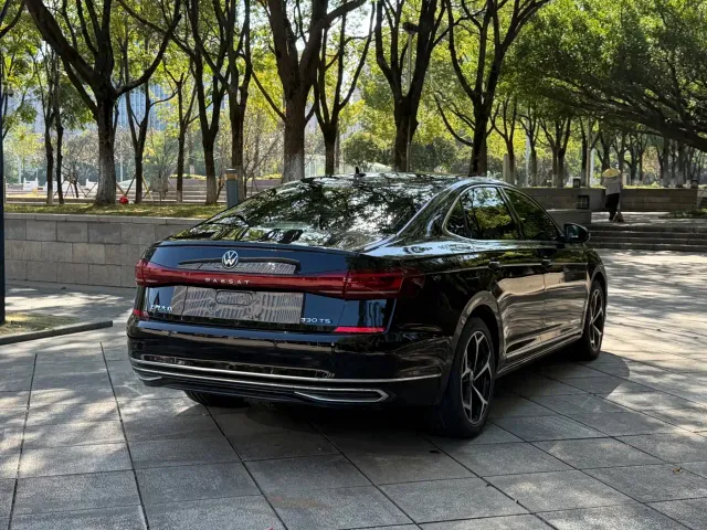Volkswagen Passat — Фото автомобиля 30