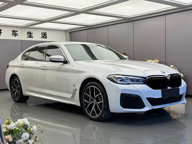 BMW 5 Series — Фото автомобиля 3