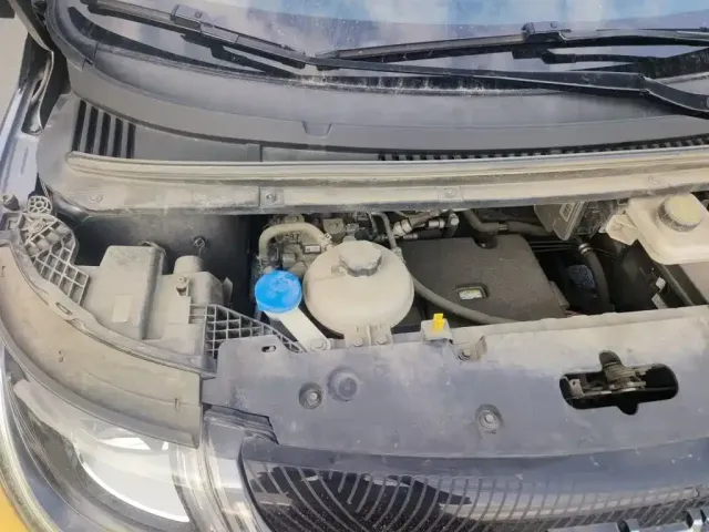 BYD Dolphin — Фото автомобиля 20