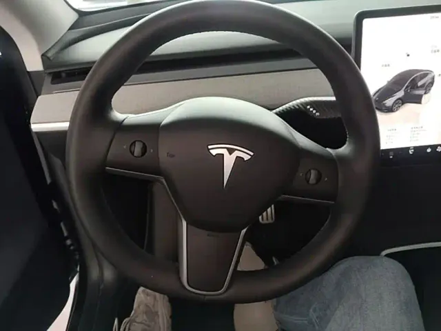 Tesla Model Y — Фото автомобиля 10