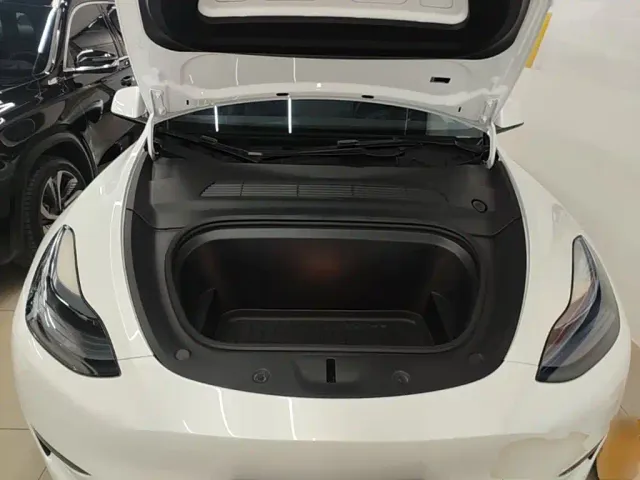 Tesla Model Y — Фото автомобиля 19