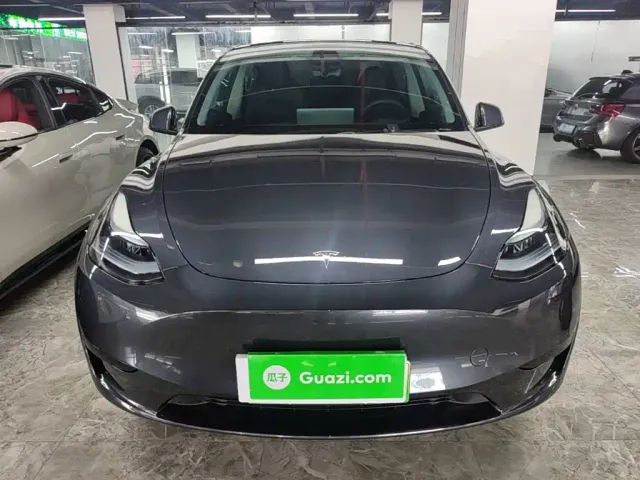 Tesla Model Y — Фото автомобиля 2