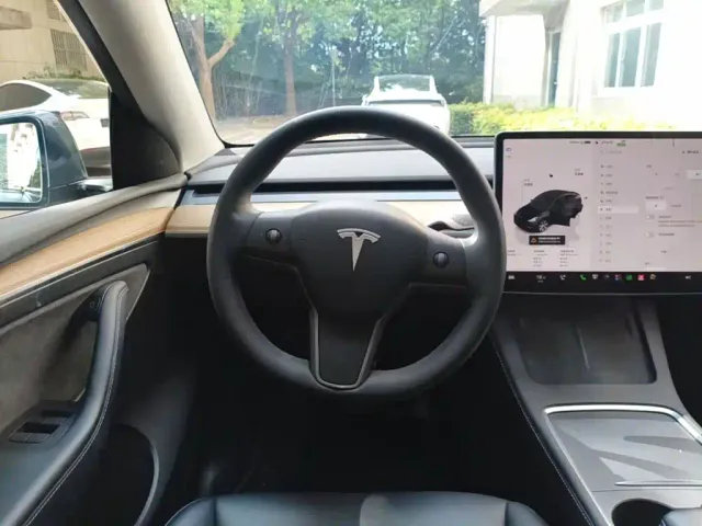 Tesla Model Y — Фото автомобиля 10