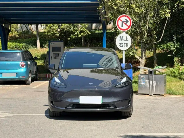 Tesla Model Y — Фото автомобиля 3