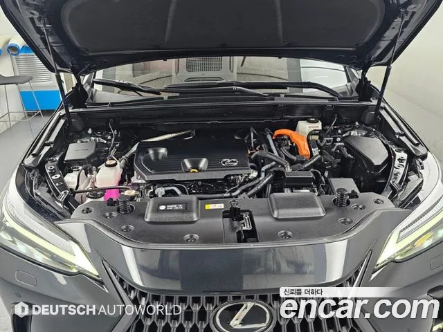 Lexus NX 2nd Gen — Фото автомобиля 6
