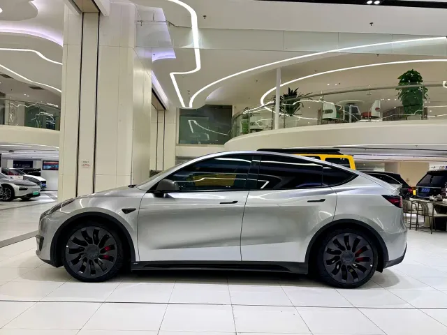 Tesla Model Y — Фото автомобиля 3