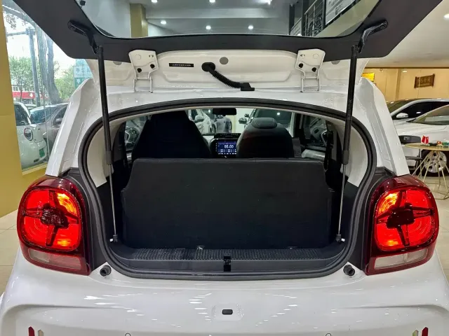 Roewe Kaiwei CLEVER 2022 311km Vitality Bobo Edition — Фото автомобиля 19