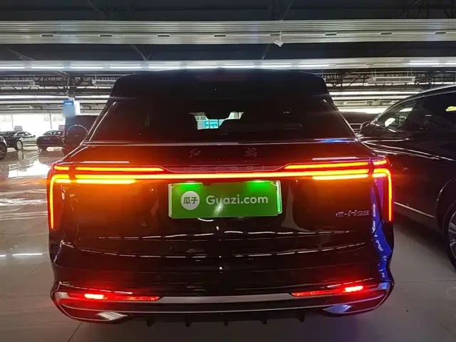 Hongqi E-HS9 — Фото автомобиля 5