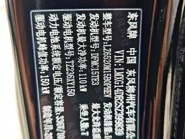 Forthing Xinghai V9 — Фото автомобиля 14
