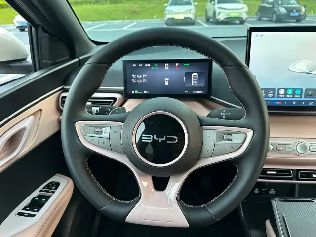 BYD Seagull — Фото автомобиля 8