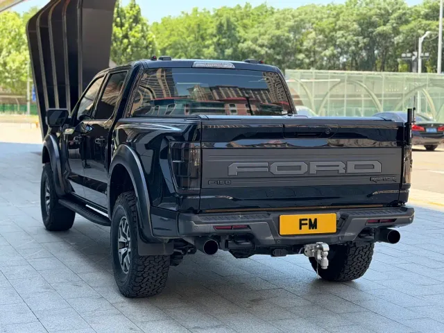 Ford F-150 Raptor — Фото автомобиля 16