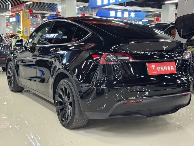 Tesla Model Y — Фото автомобиля 7