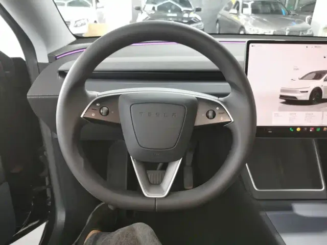 Tesla Model Y — Фото автомобиля 10