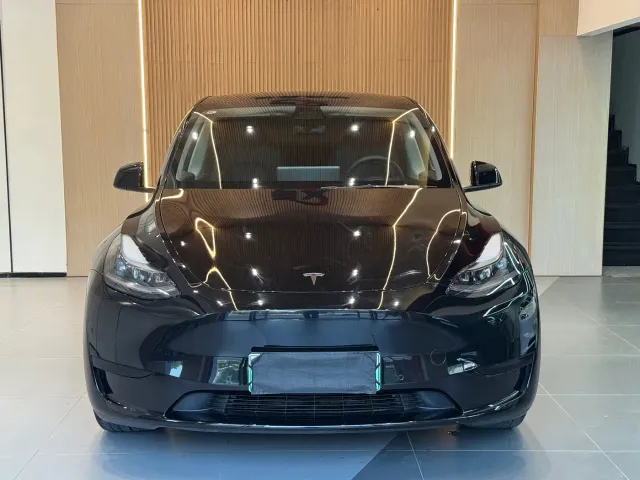 Tesla Model Y — Фото автомобиля 2