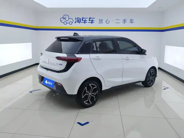 Electric House YOUNG Guang Xiaoxin — Фото автомобиля 3