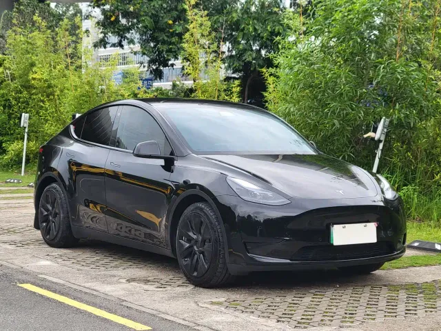 Tesla Model Y — Фото автомобиля 3