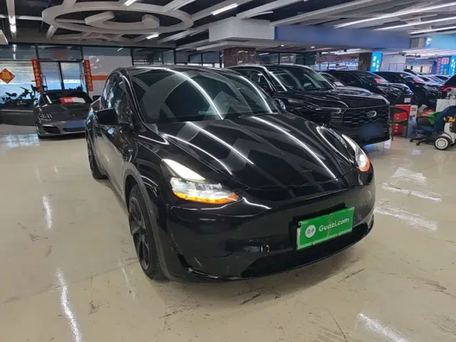 Tesla Model Y — Фото автомобиля 3