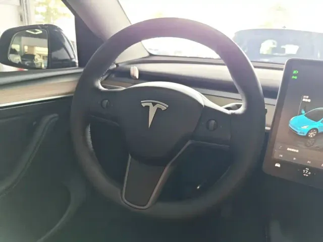 Tesla Model Y — Фото автомобиля 10