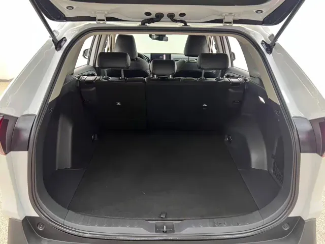 Toyota RAV4 Rongfang Dual Engine E+ — Фото автомобиля 13