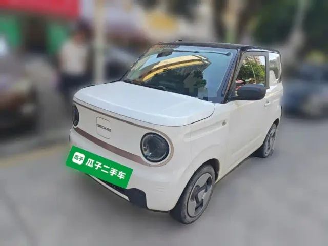 Фотография автомобиля — Geely Panda