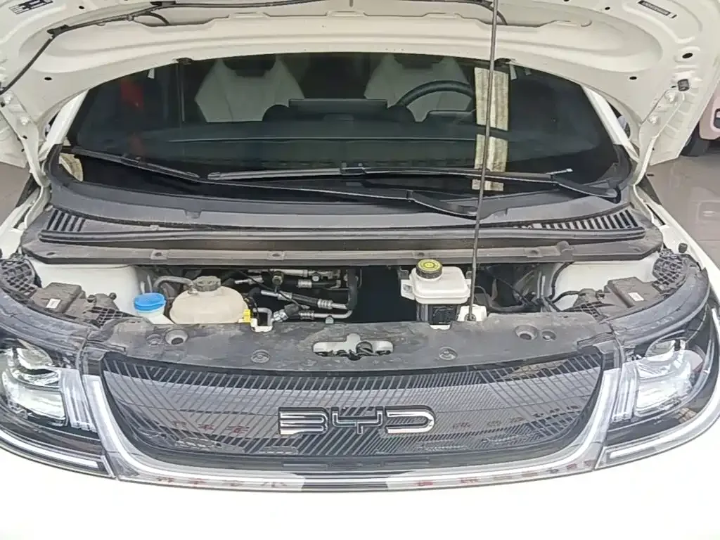 BYD Dolphin 2023 420km Freedom Edition — Фото автомобиля 15