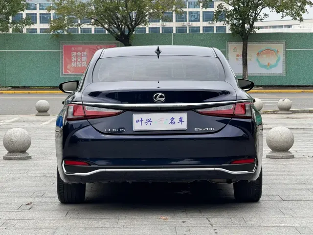 Lexus Lexus ES 2023 200 Excellence Edition — Фото автомобиля 16