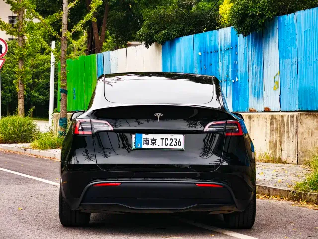 Tesla Model Y — Фото автомобиля 6