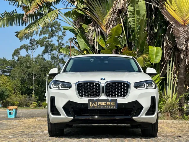 BMW X4 — Фото автомобиля 2