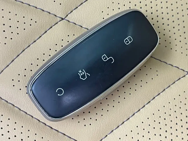 Denza Denza D9 2024 DM-i 1050 Premium — Фото автомобиля 15
