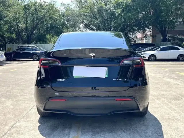 Tesla Model Y 2024 Long Range AWD — Фото автомобиля 8