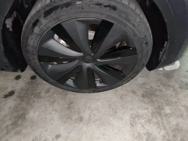 Tesla Model Y — Фото автомобиля 25