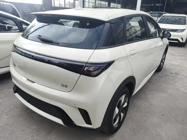 BYD Dolphin — Фото автомобиля 6