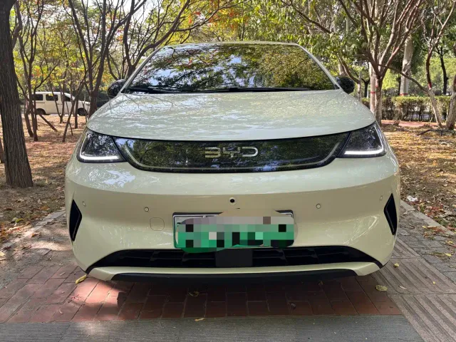 BYD Dolphin — Фото автомобиля 16